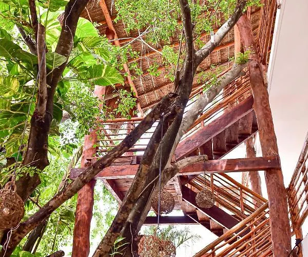 Kaab Boho Hotel Tulum